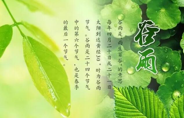 【24節氣養生篇】谷雨:祛濕熱防春火是關鍵